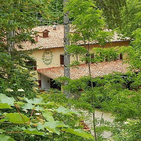Agriturismo Fonte Magria Abbadia San Salvator Zewnętrze zdjęcie