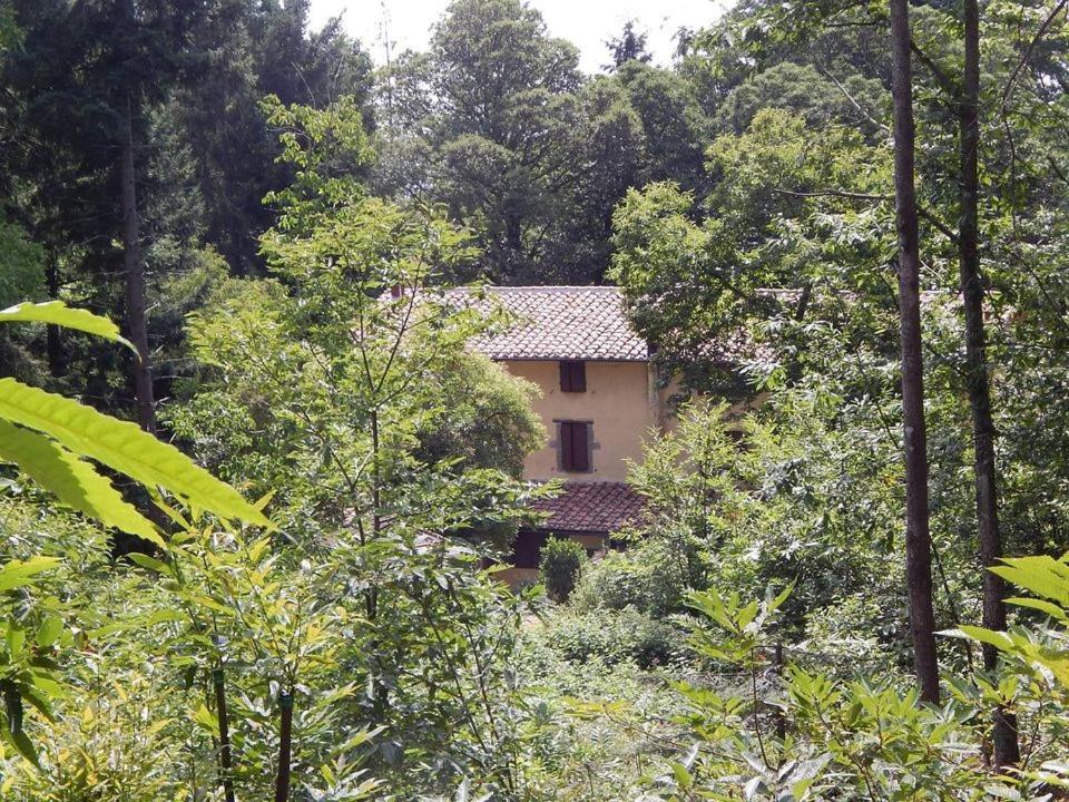 Agriturismo Fonte Magria Abbadia San Salvator Zewnętrze zdjęcie